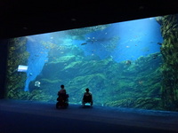Medium_2015-07-09 19.38.11